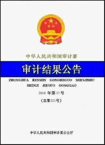 河北省審計廳門戶網站建設的實踐與優化探索